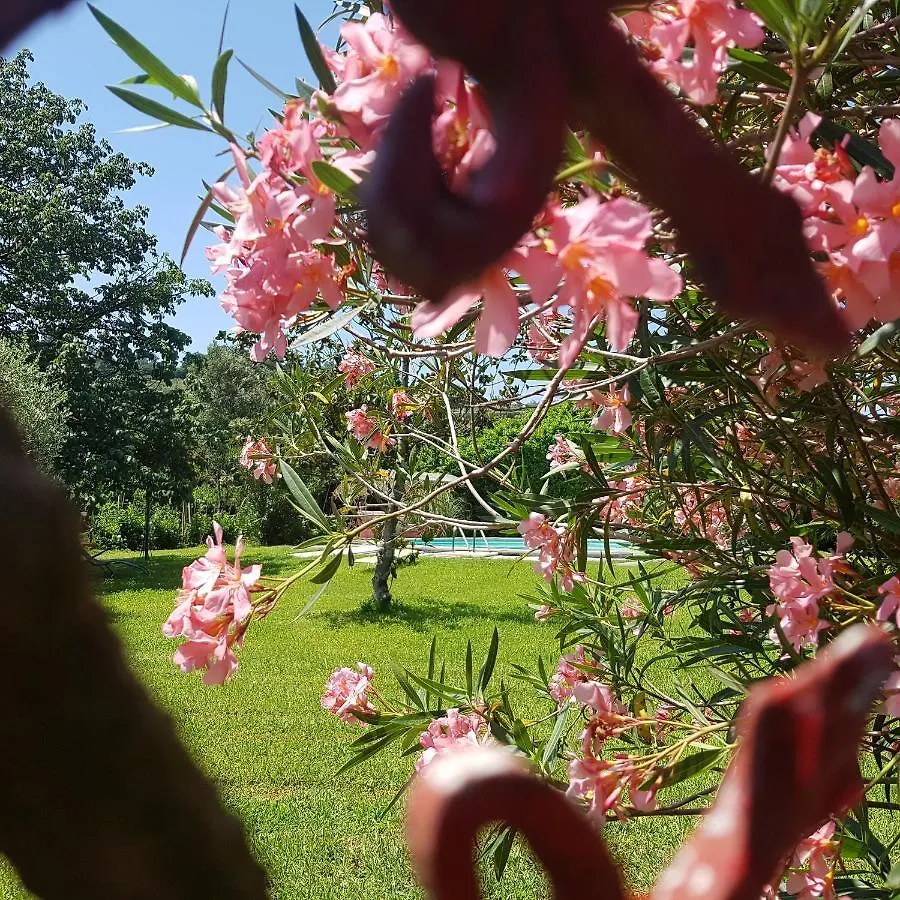 Nyaraló Casa Pilar Villa Capannori